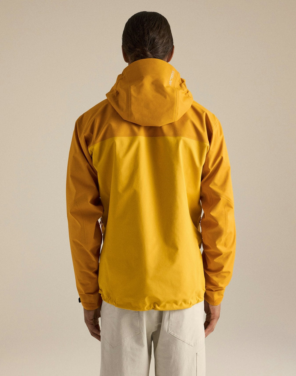 Arc'teryx Beta AR Men's Hardshell Jacket - Nucleus / Larch