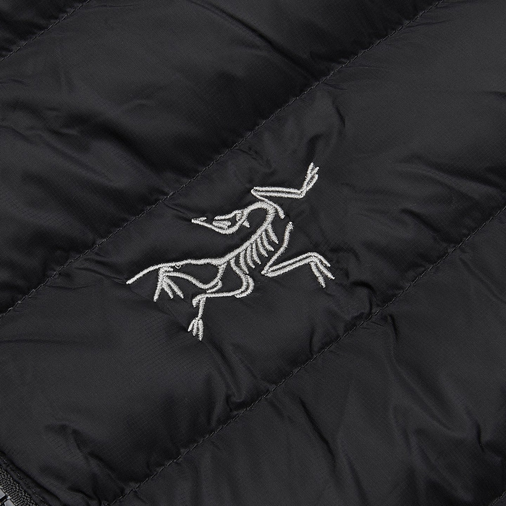 Arc'teryx Cerium Series Men's Hooded Down Jacket "Black"