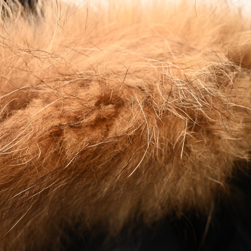 The North Face Summit Series Antarctica Expedition Parka "Black" Men Winter Fur Hood Down Jacket