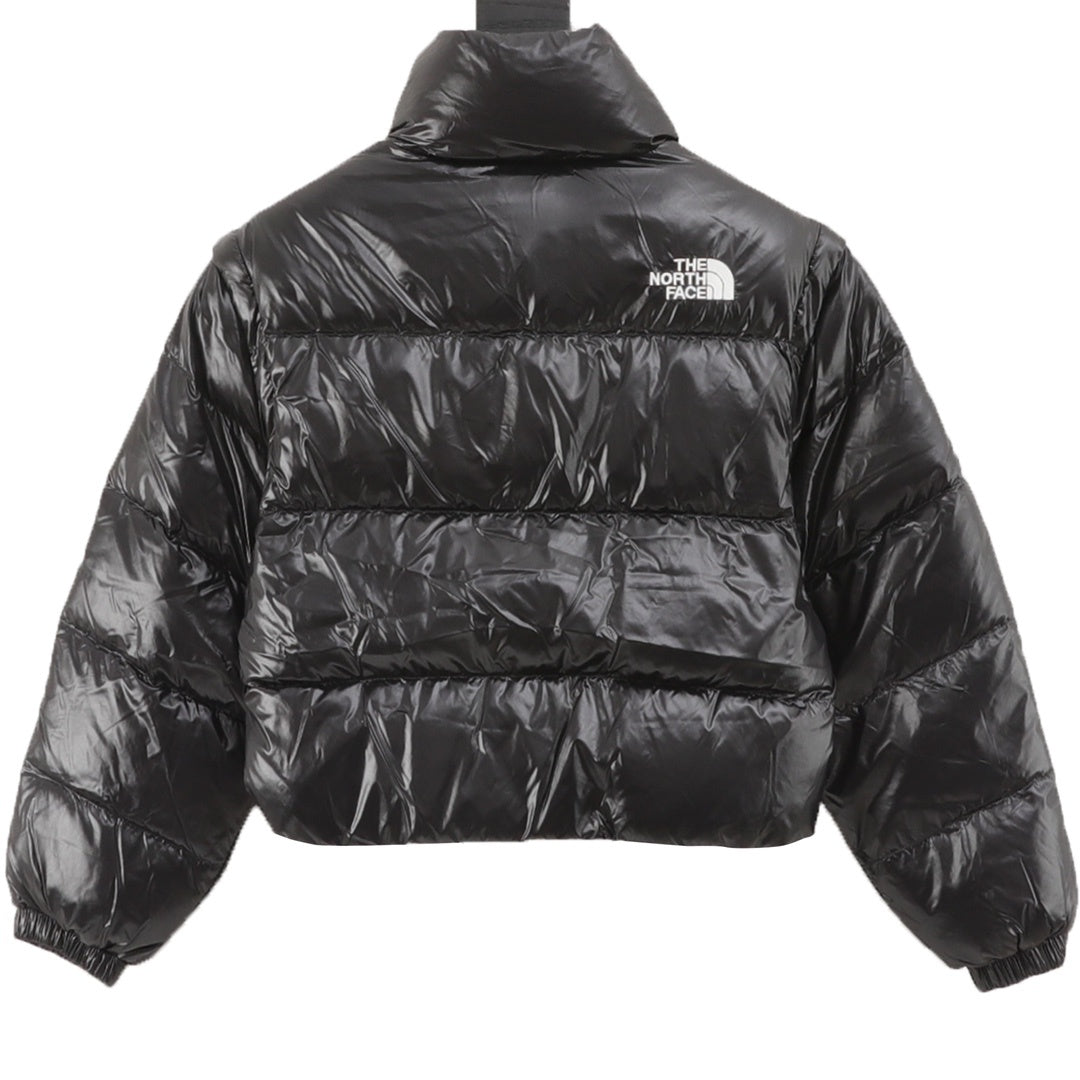 The North Face Retro Puffer Goose Down Jacket "Black"