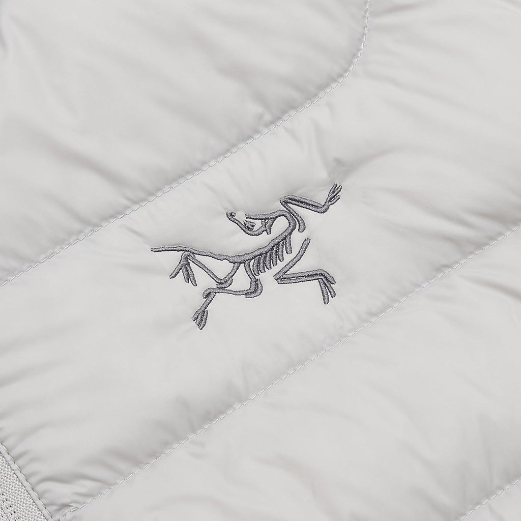 Arc'teryx Cerium Series Men's Hooded Down Jacket "Light Grey"