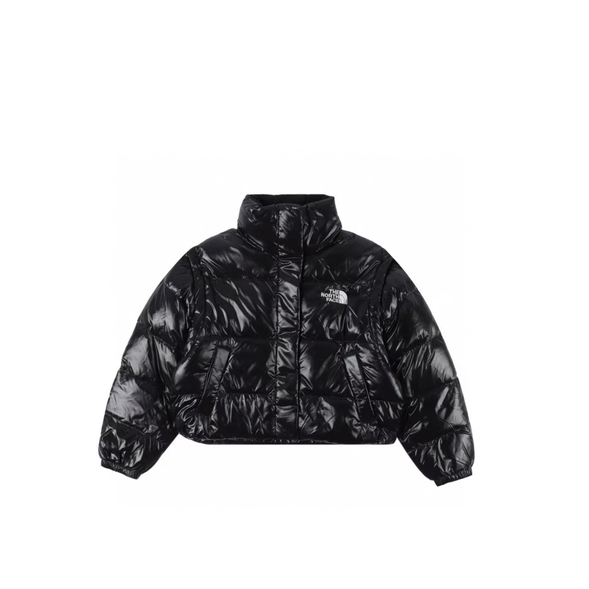 The North Face Retro Puffer Goose Down Jacket "Black"
