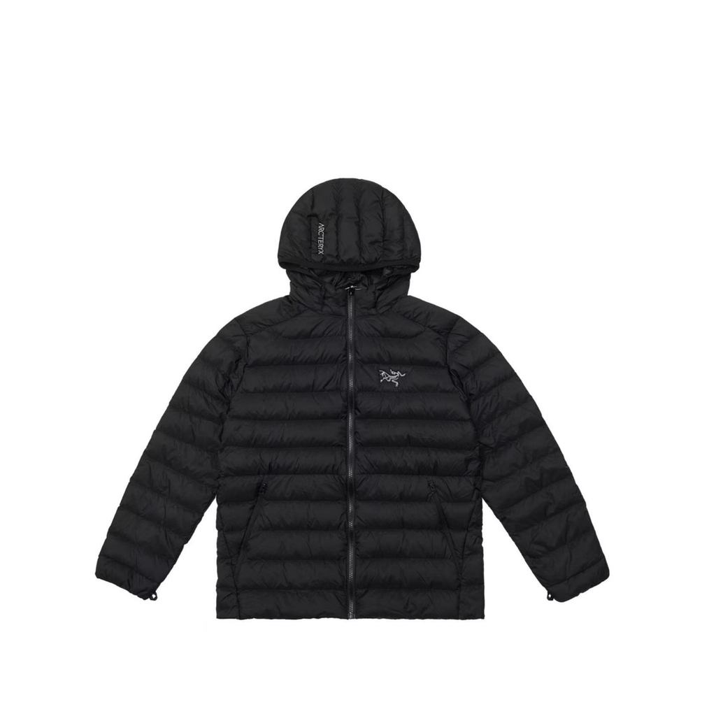Arc'teryx Cerium Series Men's Hooded Down Jacket "Black"